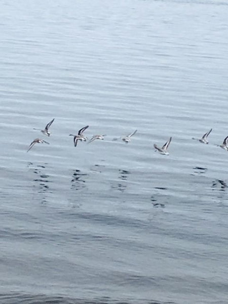 Goal Setting as The Hero's Journey